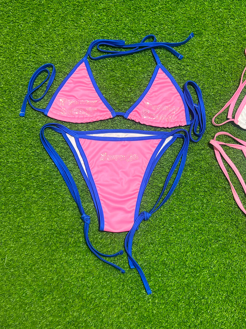 Pretty savage bikin set